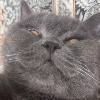 5aald (@5aldxihkx) 's Twitter Profile Photo 5aald (@5aldxihkx) 's Twitter Profile Photo