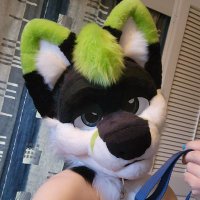 Subby Fox~ x3 (@kairo_foxad) 's Twitter Profile