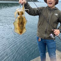 愛媛の釣りバカ2(@LoveFishing72) 's Twitter Profileg