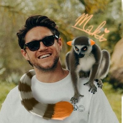 CrazyLemurino Profile Picture