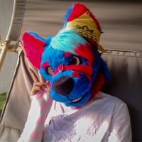 Luka The Wolf