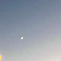MI (@u9a__k) 's Twitter Profile