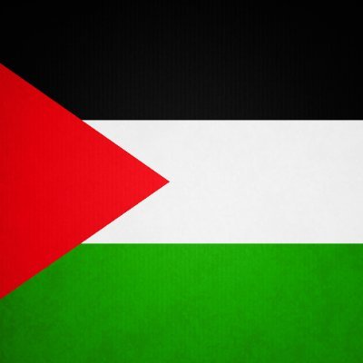 Filistin'in yanındayım. I stand with Palestine. 🇵🇸