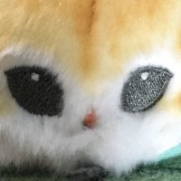 ディバイン (@kn42931) Twitter profile photo