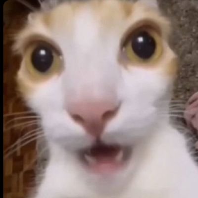 ttubbuckjibung's profile picture. 빻앗어요