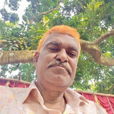 selim73909's profile picture. 