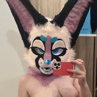 Cotton 🔞 (@fennecfuckz) 's Twitter Profile