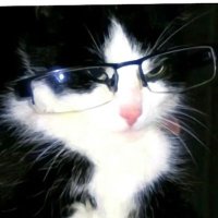 猛猛干饭叉老师 (@qyc123kn) 's Twitter Profile Photo 猛猛干饭叉老师 (@qyc123kn) 's Twitter Profile Photo