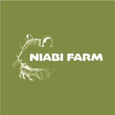 Niabi Farm: Your premier source for all things grasscutter farming!  ( Bush Meat )🌱🐇

CrowdFunding Link:  https://t.co/jtl8lkIN8Y