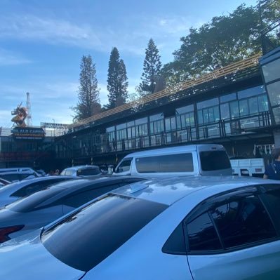 YorBriar28's profile picture. 22