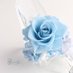 水色の薔薇 (@rose_rose_roes) Twitter profile photo 水色の薔薇 (@rose_rose_roes) Twitter profile photo