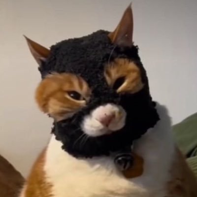 원화さんのプロフィール画像