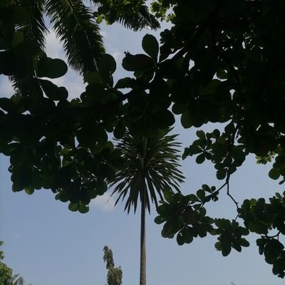 Theproblem2523's profile picture. For the sake of hatred