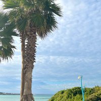 BerylBurke (@zlxijyox2vz5t05) Twitter profile photo