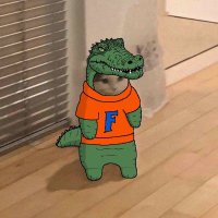 Gator(@gatorTrader_) 's Twitter Profile Photo