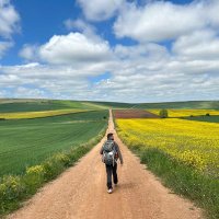 Poti (@potiplux) 's Twitter Profile