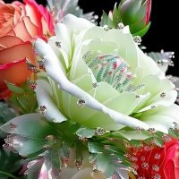 মোঃ জাকির হোসেন খলিফা (জাকির) (@moh86345) 's Twitter Profile