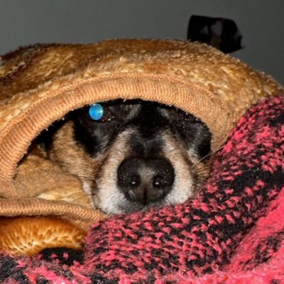 4PFyayo's profile picture. 