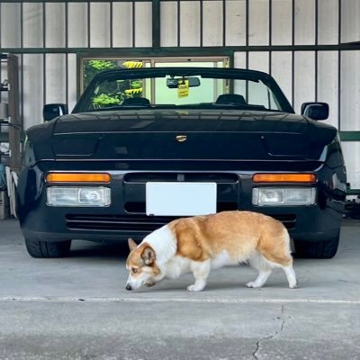 貴方はネコを信じますか(猫教) 猫派なのにアイコンに犬՞•̀ᴥ•́՞ フィアット&アバルト、イタリア車 ドイツ車好き! 運転下手くそ選手権優勝したくせにバルケッタのってます( ᐛ✌︎) エンストしながら944運転中! ビポストと旧チンクは助手席で寝てます