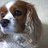 woofkatie_'s profile image