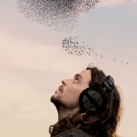 Seán Ronayne (@ronayne88) 's Twitter Profile