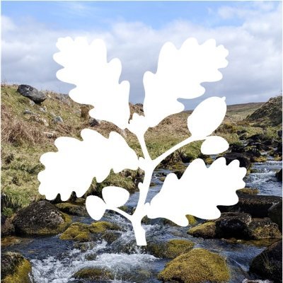 DartmoorNT Profile Picture