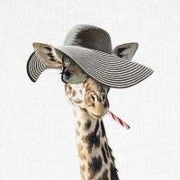آنسه زرافه | انجليزي (@msgiraffe24) 's Twitter Profile Photo آنسه زرافه | انجليزي (@msgiraffe24) 's Twitter Profile Photo