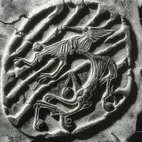 šumx (@thesumx) 's Twitter Profile