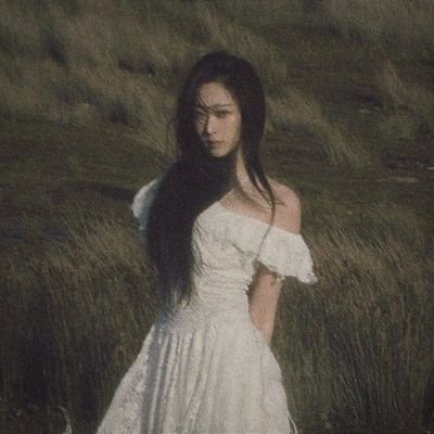 llvaeri's profile picture. 