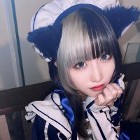 ここのいはポンコツコンカフェ嬢 (@noicoco_anipori) 's Twitter Profile