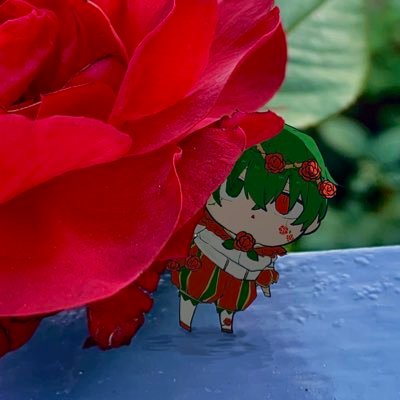 🌿もずく🌹さんのプロフィール画像