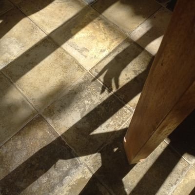 meowpoa's profile picture. 👍🙏