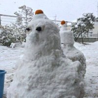 なかけぼ (@mondo) 's Twitter Profile