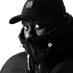 P Money (@KingPMoney) Twitter profile photo