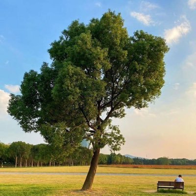 John20240429's profile picture. 