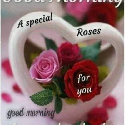 prabu_prab64607's profile picture. 