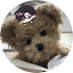 이부... (@buu2e) Twitter profile photo 이부... (@buu2e) Twitter profile photo