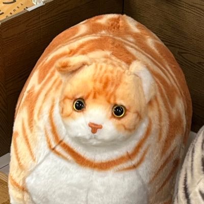 猫になりたい