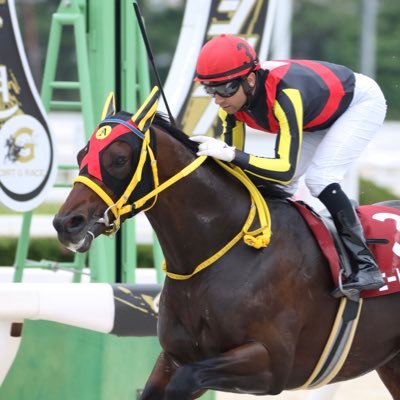 競馬ブック🏇📕｜2022年3月入社🔰｜園田TM｜野球は阪神ファン🐯｜ワールドタキオン全力応援！🏇 ※ツイートは個人の意見・見解です