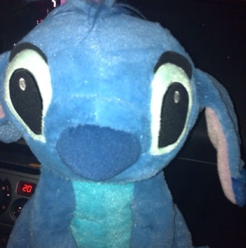 Holanda73's profile picture. 