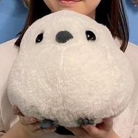 なおペコ (@a_daisuketball) 's Twitter Profile Photo