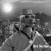 Snt Scribe (@sntsc_ribbe) 's Twitter Profile