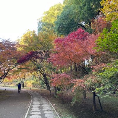 大学生　仙台