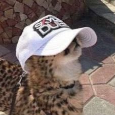 miaconfirmed's profile picture. My mom took my juul