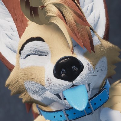 fuzzyphox Profile Picture