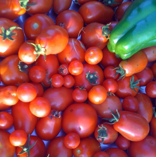 NiGinette's profile picture. 