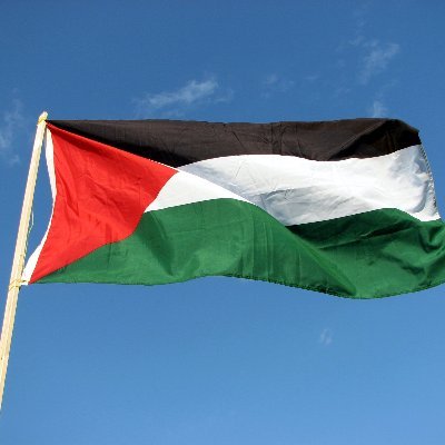 Welcome! This is a pan-fandom project to raise as much as possible for Palestine.
