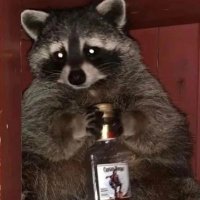 Garrett (@thegarrative9) 's Twitter Profile Photo Garrett (@thegarrative9) 's Twitter Profile Photo