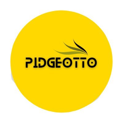Pidgeotto Solutions: Where innovation meets expertise, delivering bespoke website solutions and digital marketing strategies for your business's success.