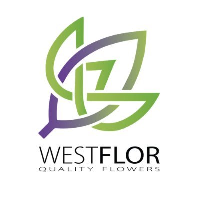 Westflor are a multi award winning wholesaler providing quality flowers, plants and sundries and friendly exception service to professional florists.